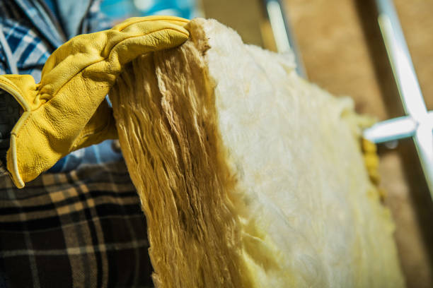 Best Residential Insulation Services  in Taylorsville, NC