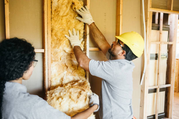 Best Energy-efficient Insulation  in Taylorsville, NC
