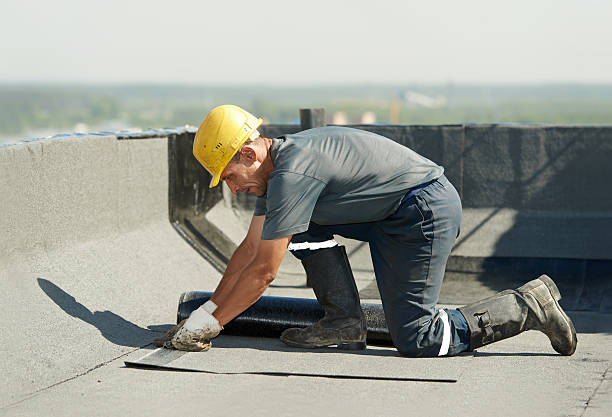 Best Insulation Replacement Services  in Taylorsville, NC