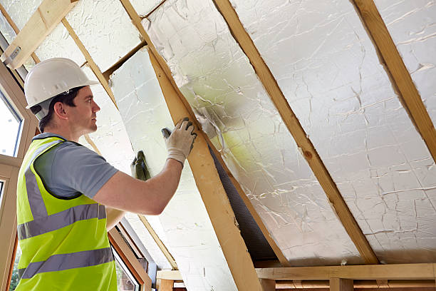 Best Insulation for New Construction  in Taylorsville, NC